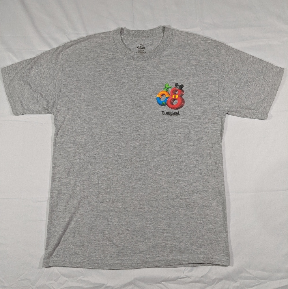 Vintage Disney 2008 t-shirt